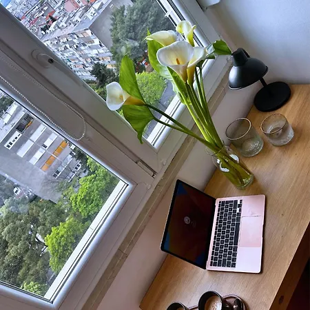 Home *